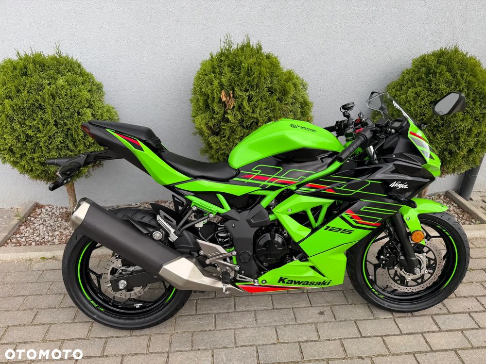 Kawasaki Ninja - 3