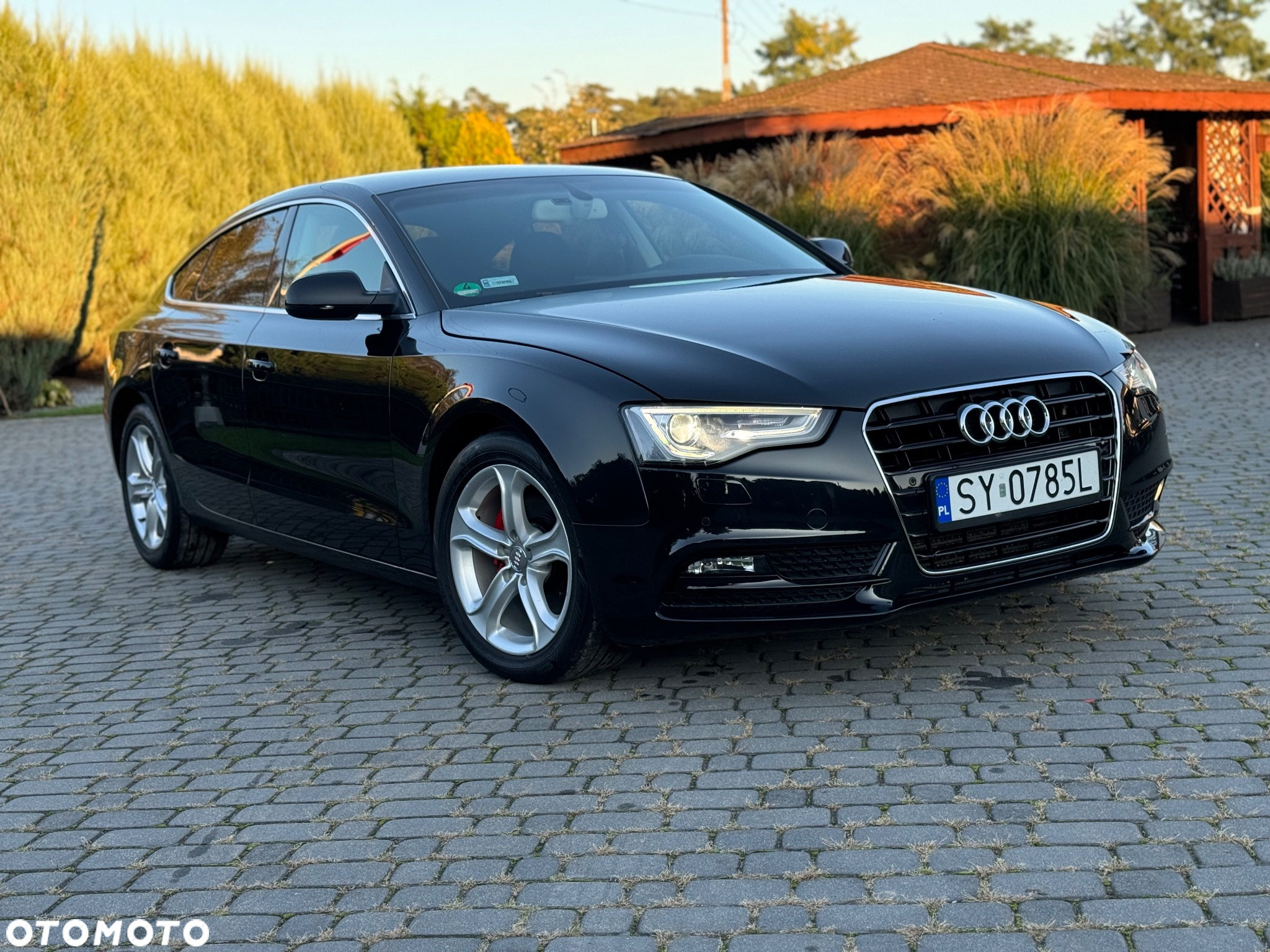 Audi A5 2.0 TDI Multitronic - 3