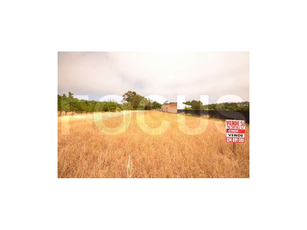 Terreno a pinhal para venda - Grande imagem: 3/6