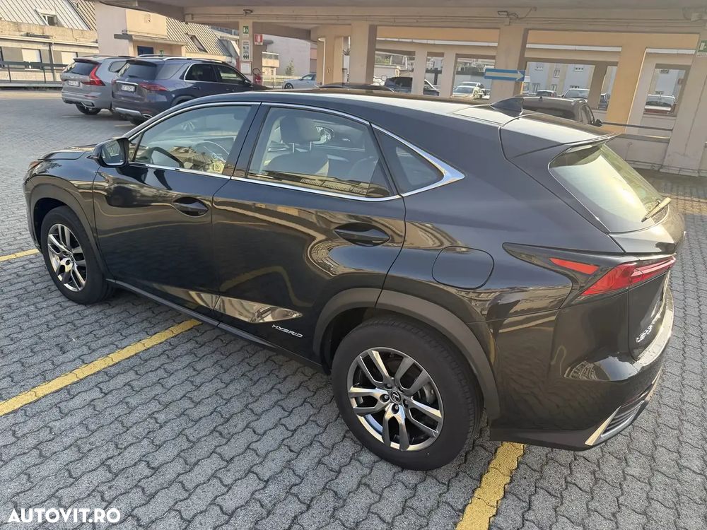 Lexus Seria NX 300h AWD Executive Plus - 7