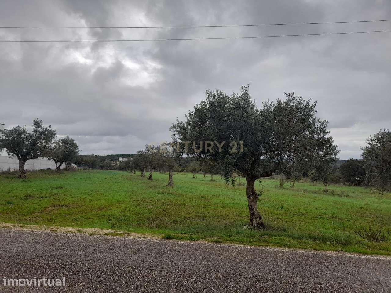 Terreno com 58 m Frente a 3 Km da Cidade de  Fátima - Grande imagem: 3/18
