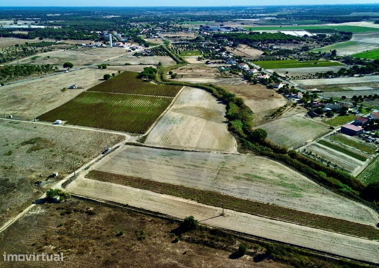 Terreno Rústico 4,7ha em Pegões Velhos - Próximo do futuro Aeroporto - Grande imagem: 3/5