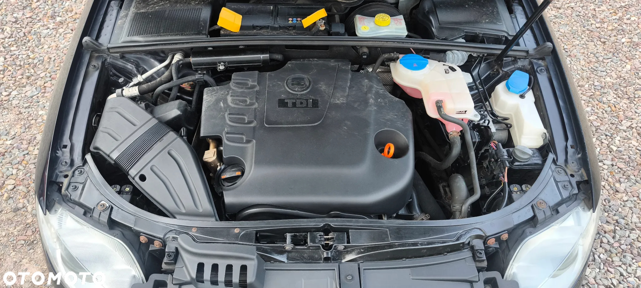 Seat Exeo - 28