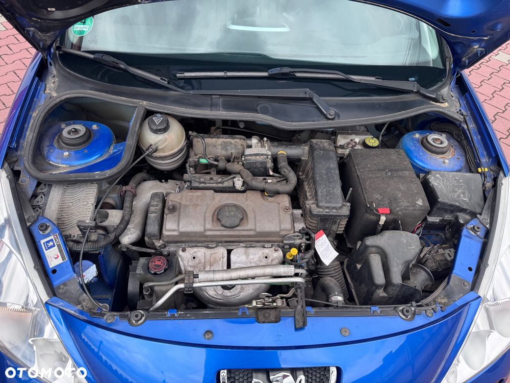 Peugeot 206 plus 75 - 29