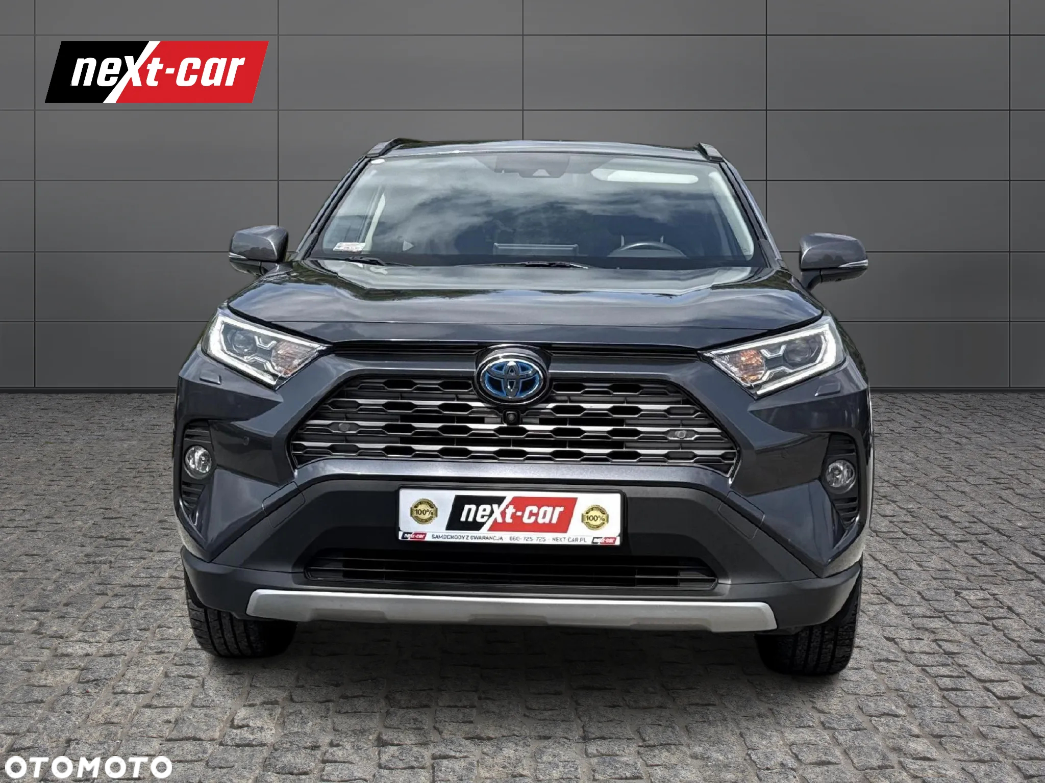 Toyota RAV4 2.5 Hybrid Executive 4x2 - 8