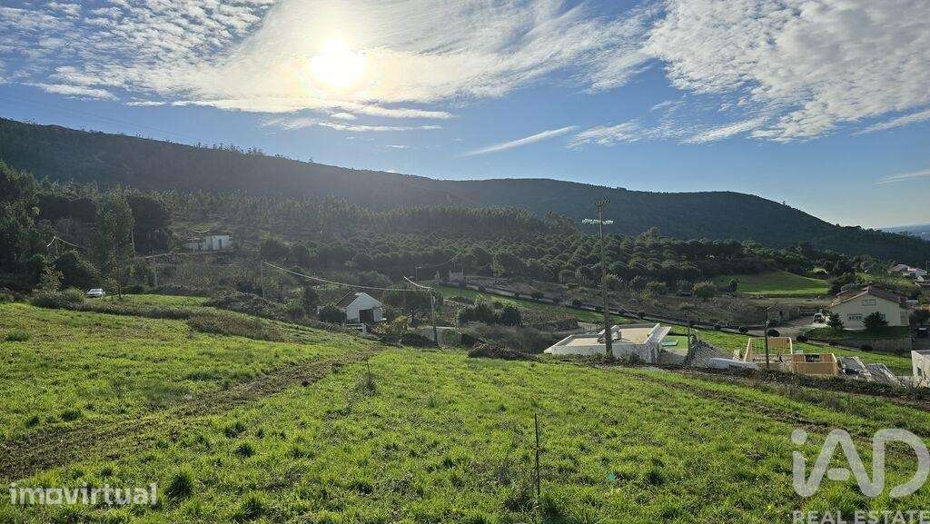 Terreno para construção em Lamas e Cercal - Grande imagem: 2/14