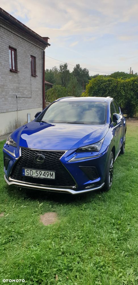 Lexus NX 300h F Sport AWD - 9
