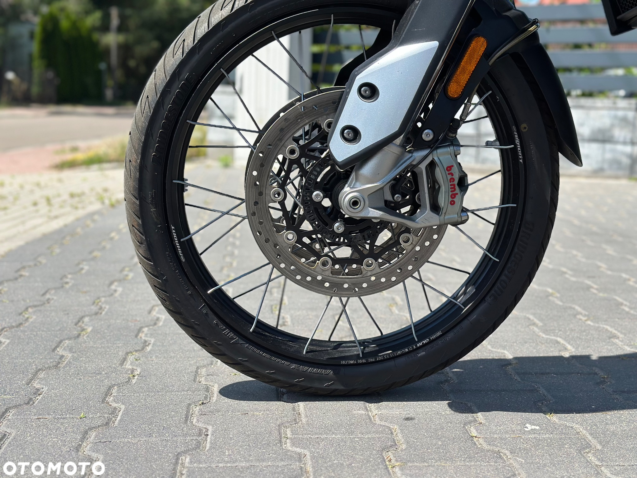 Triumph Tiger - 16