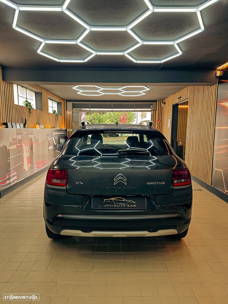 Citroën C4 Cactus 1.6 BlueHDi Rip Curl - 9
