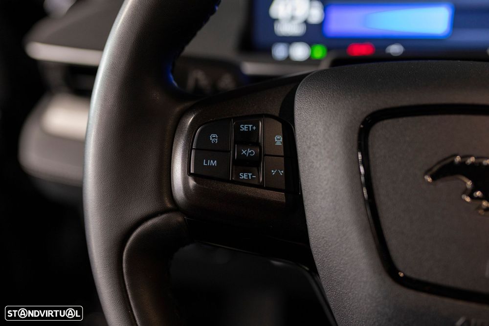 Ford Mustang Mach-E Standard - 18