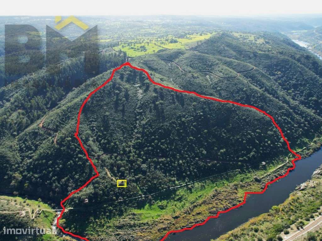 Terreno de 16,75hectares com ruina | Junto ao Rio Tejo - Grande imagem: 3/14