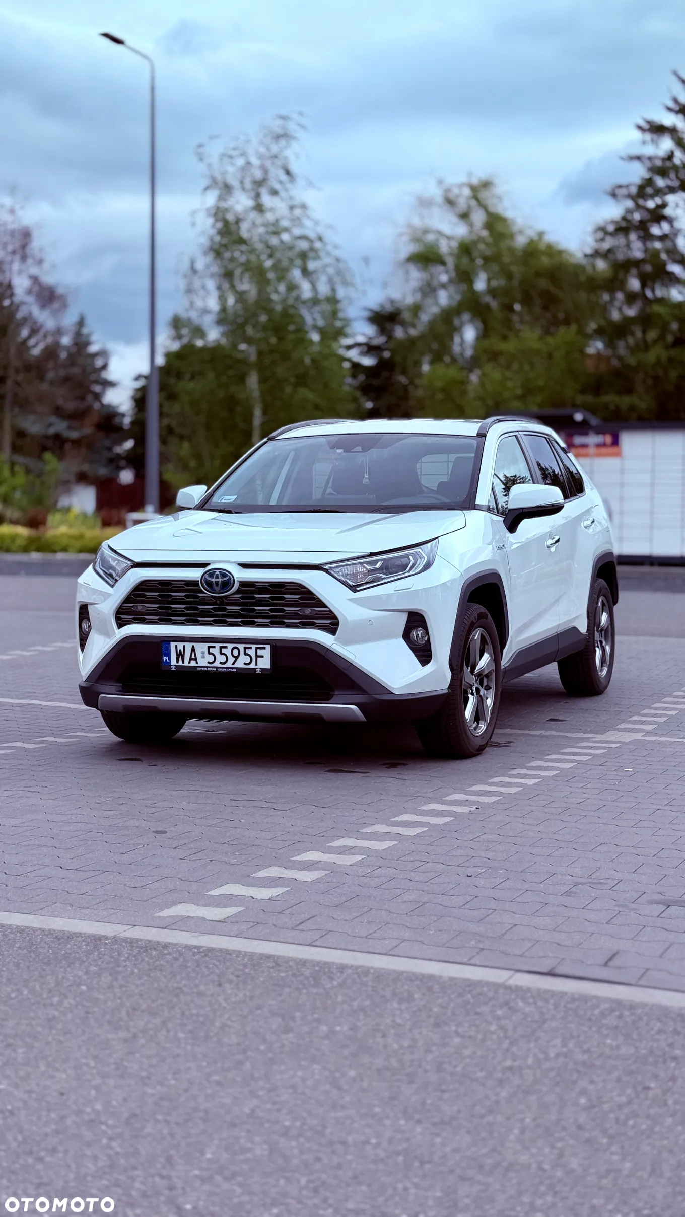 Toyota RAV4 2.5 Hybrid Executive 4x2 - 2