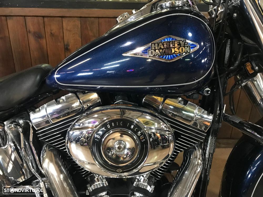 Harley-Davidson Heritage Softail Classic FLSTC 103 - 9