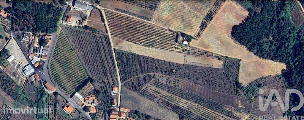 Terreno Agrícola em Carvalhal - Grande imagem: 2/7