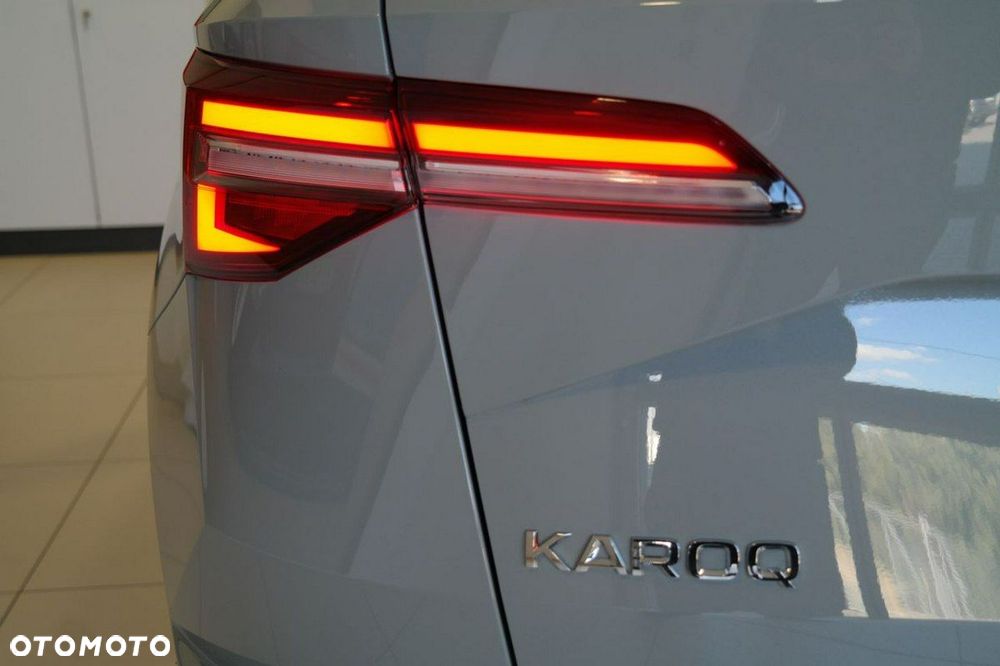 Skoda Karoq - 9