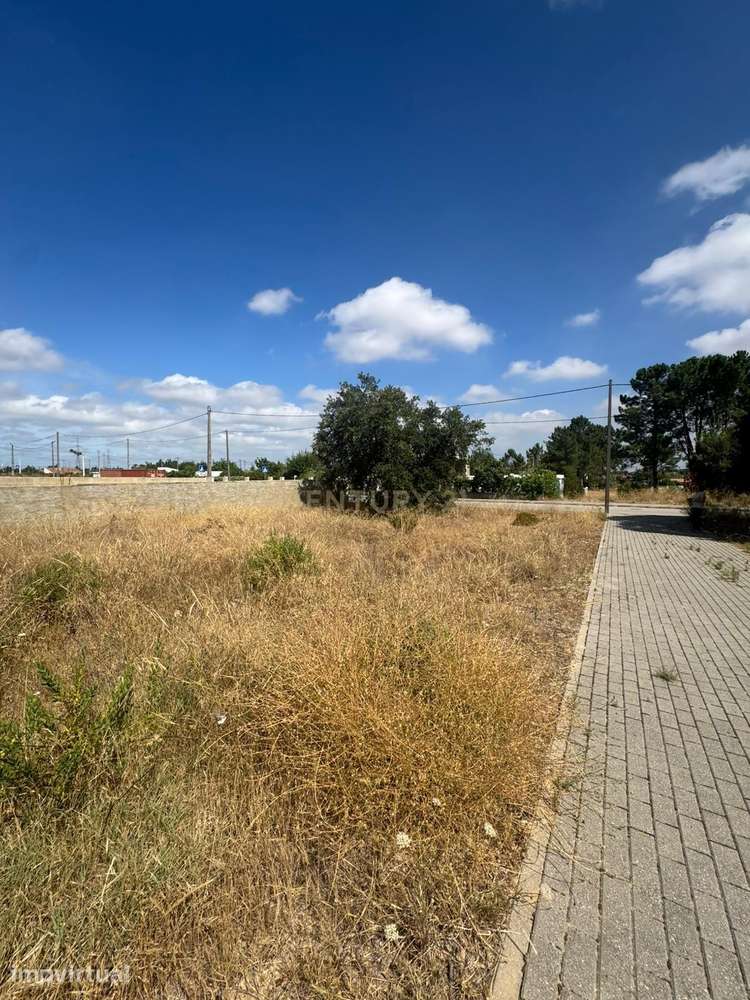 Terreno para construção Quinta da Marquesa - View 3