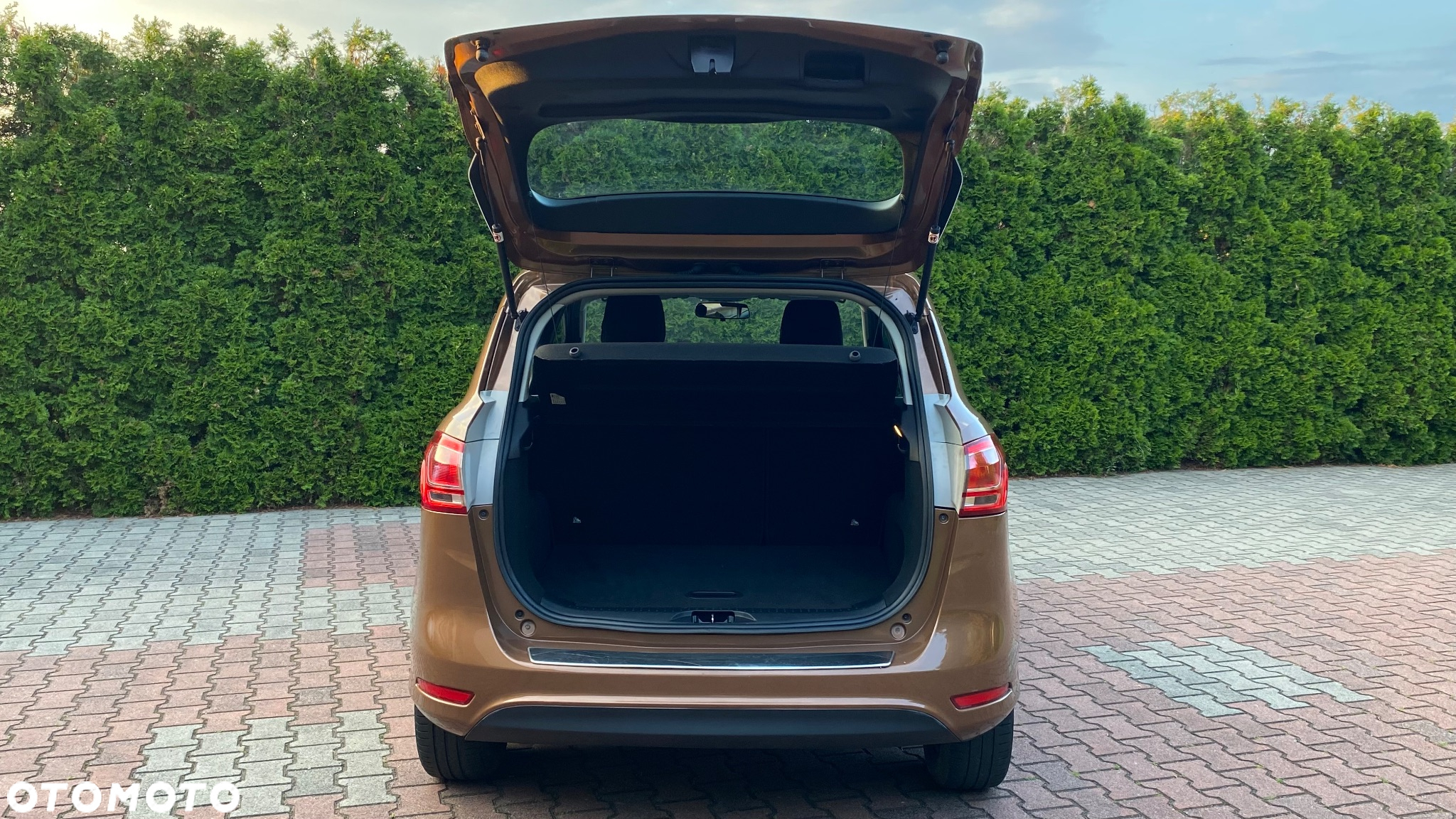 Ford B-MAX 1.0 EcoBoost SYNC Edition - 24