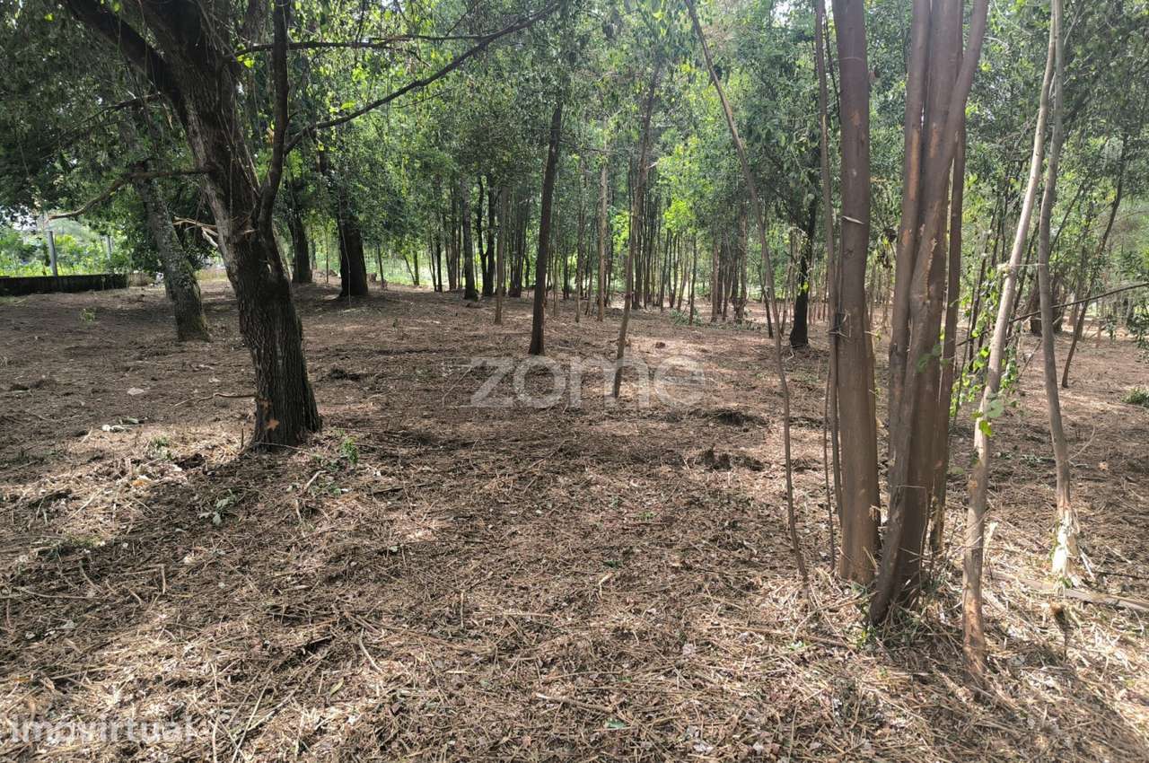 Terreno Urbanizável Amares - Braga - Grande imagem: 5/19