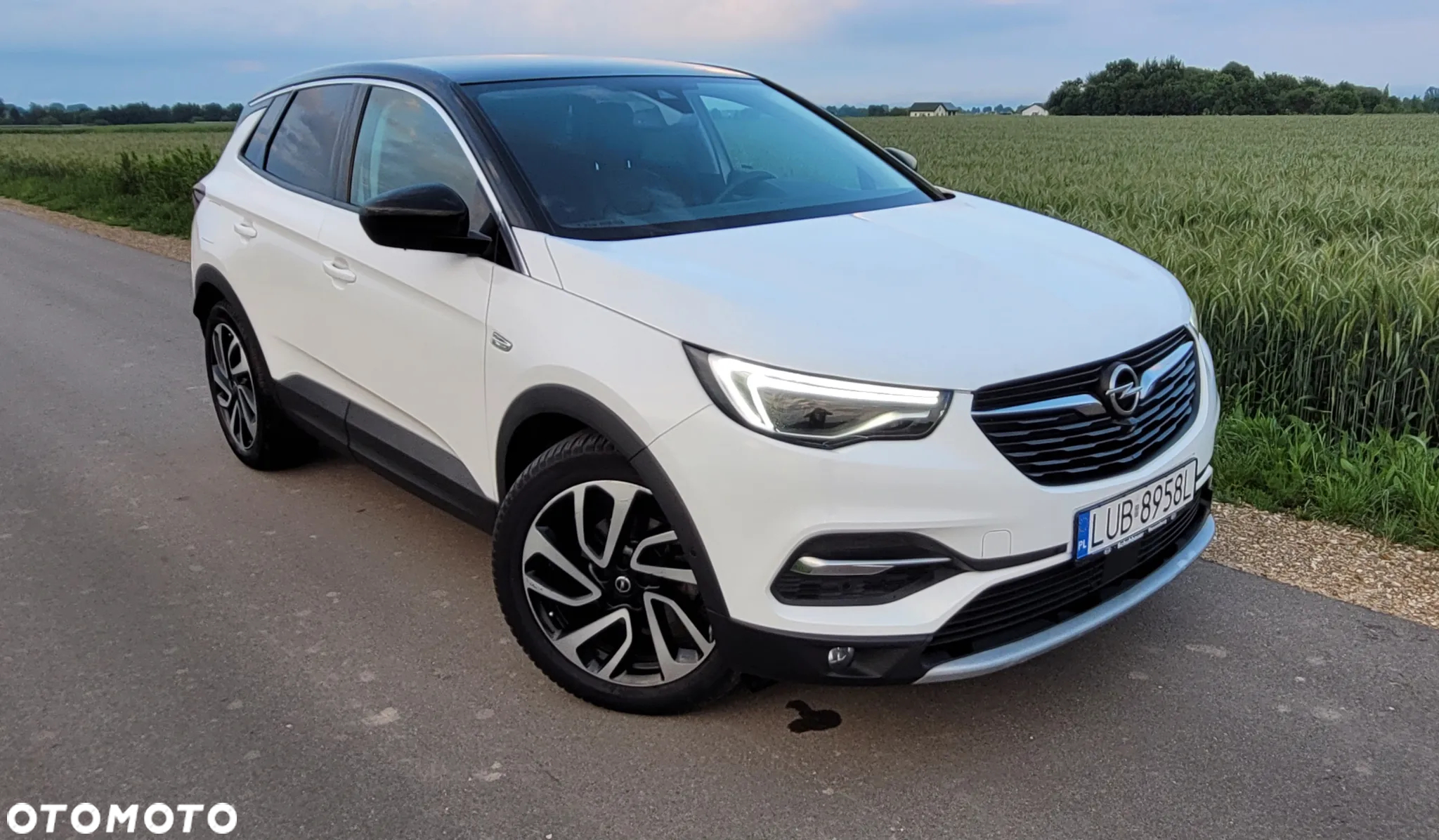 Opel Grandland X 2.0 D Start/Stop Automatik Ultimate - 13