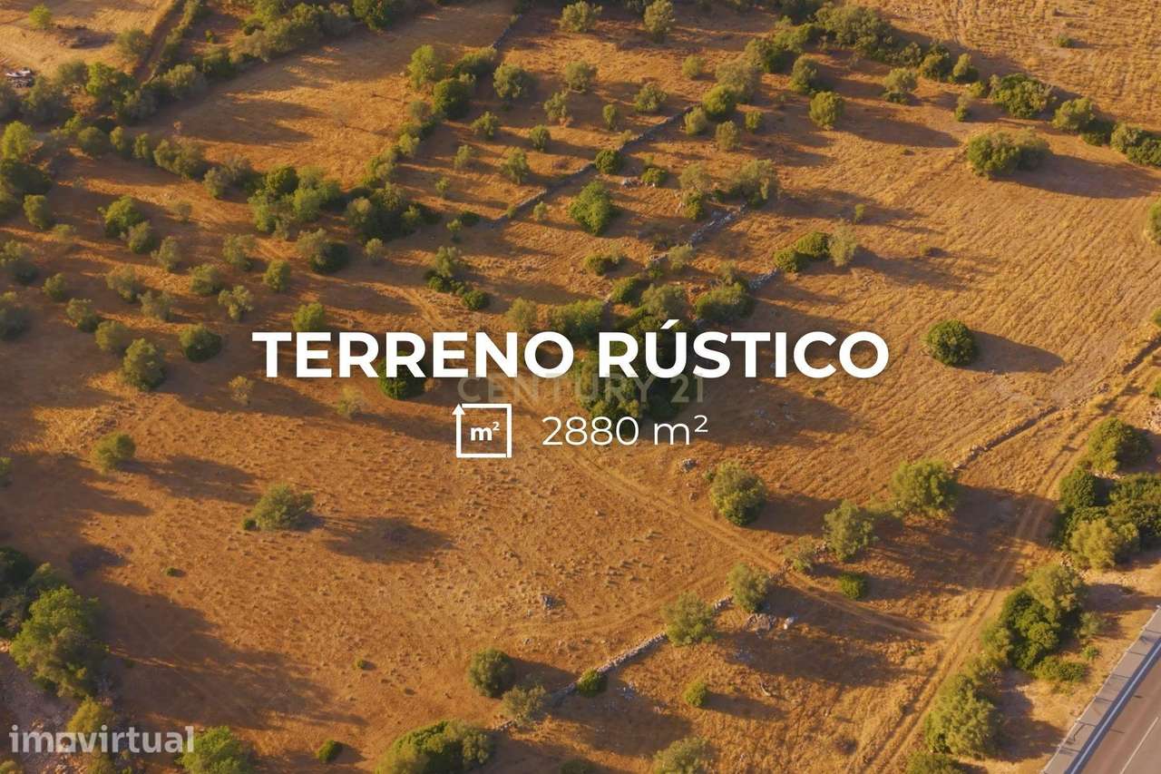 ✅ Terreno Rústico com 2.880 m² – Independência e Potencial de Expansão - Grande imagem: 4/8