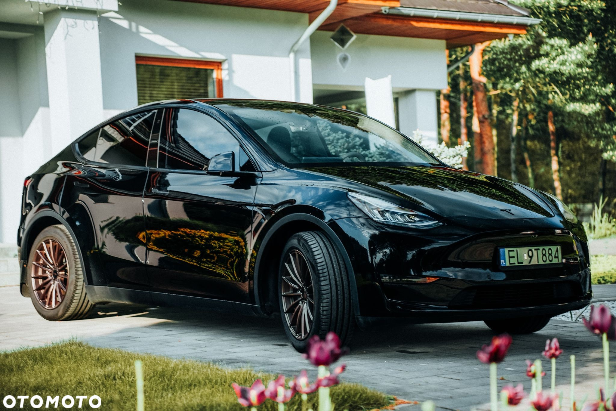 Tesla Y Model Long Range Dual Motor AWD - 12
