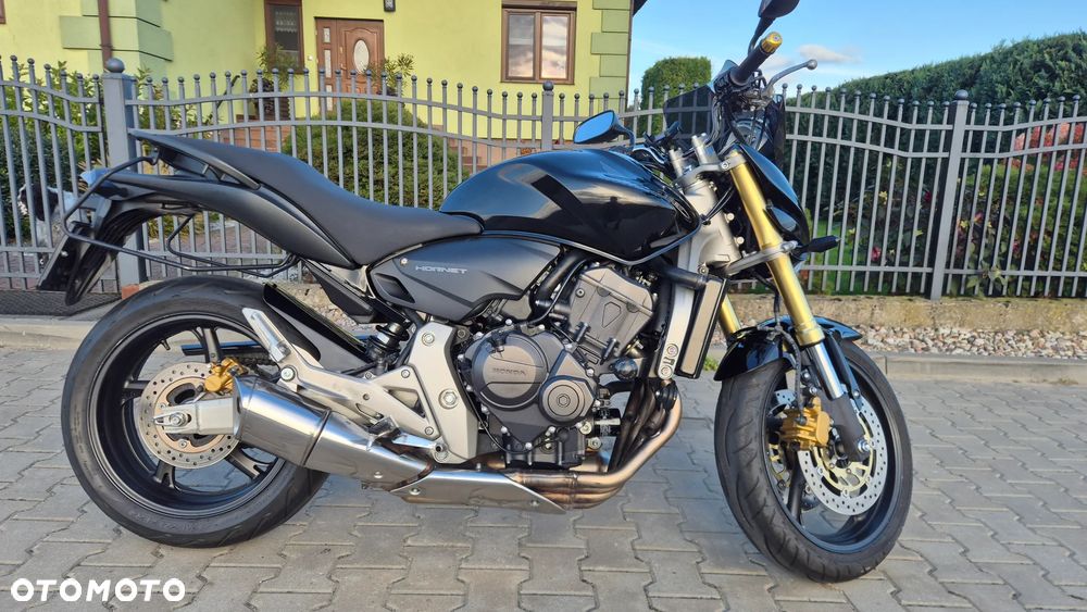 Honda Hornet