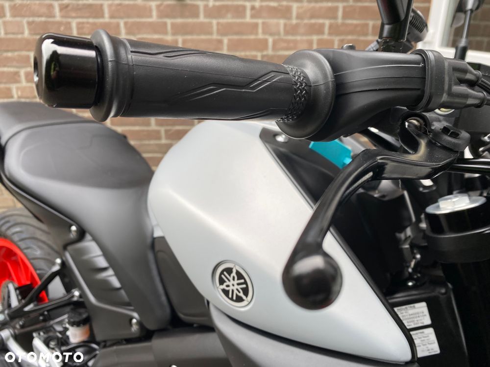 Yamaha MT - 18
