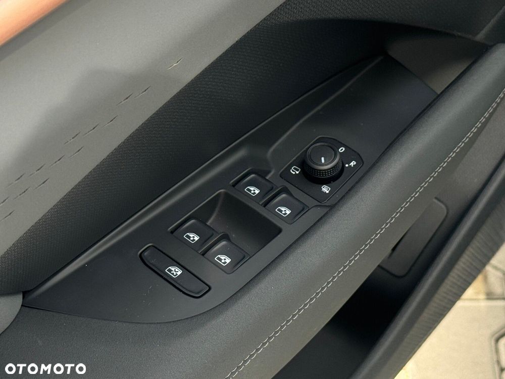 Cupra Terramar - 19