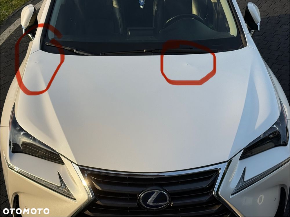 Lexus NX 300h Comfort AWD - 18