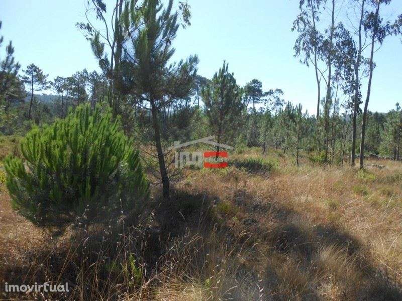 Terreno para Construção - Grande imagem: 2/12