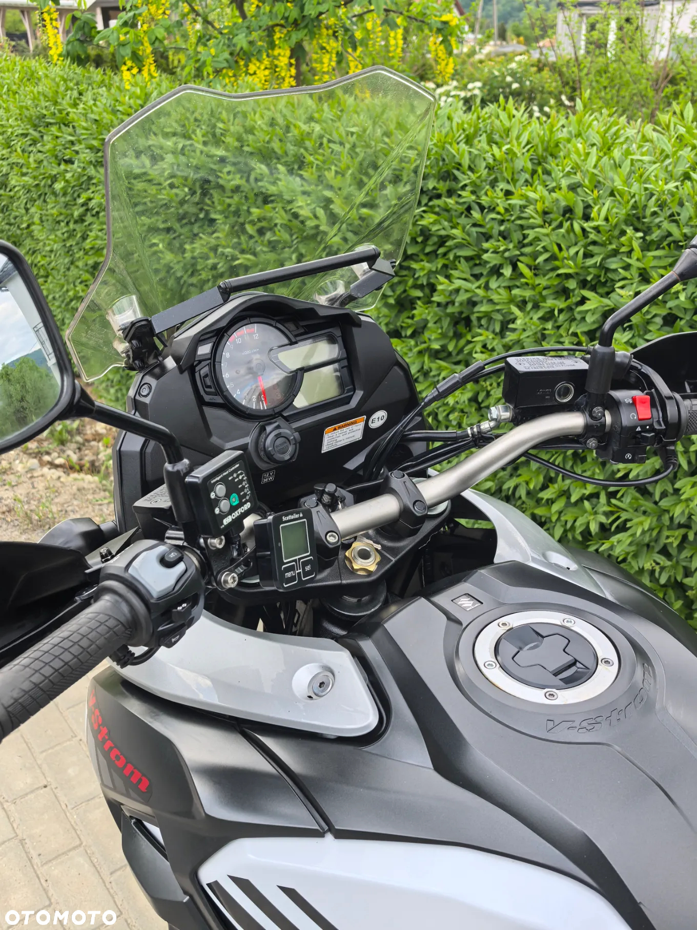 Suzuki DL - 5