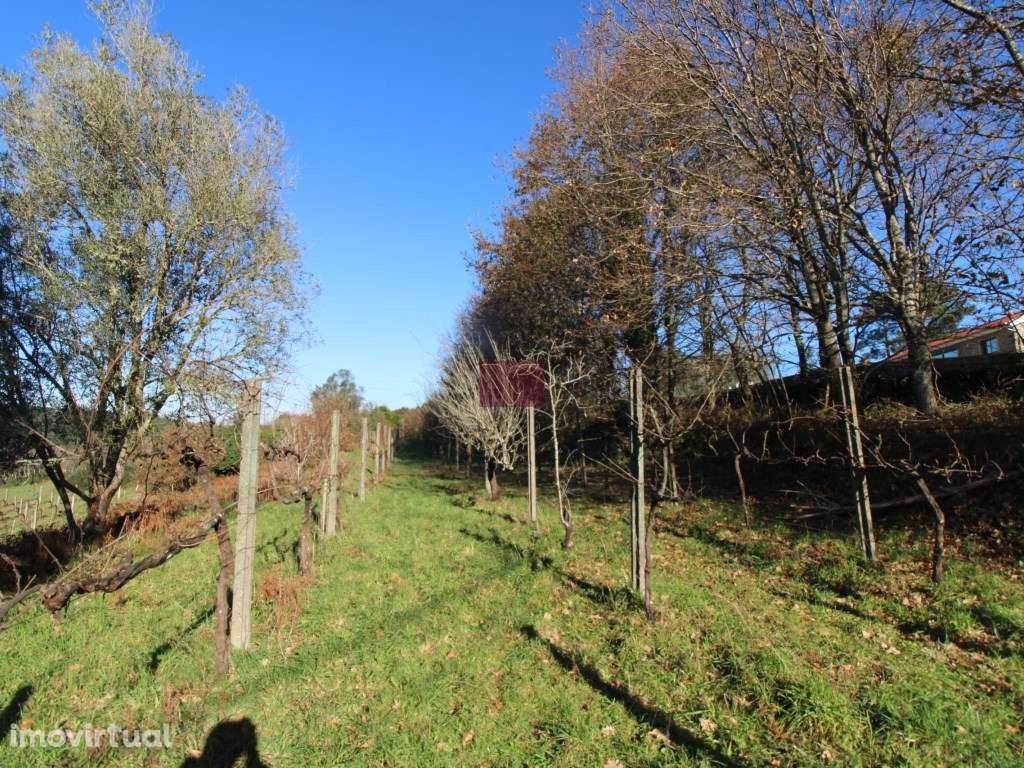 Terreno - Grande imagem: 2/12