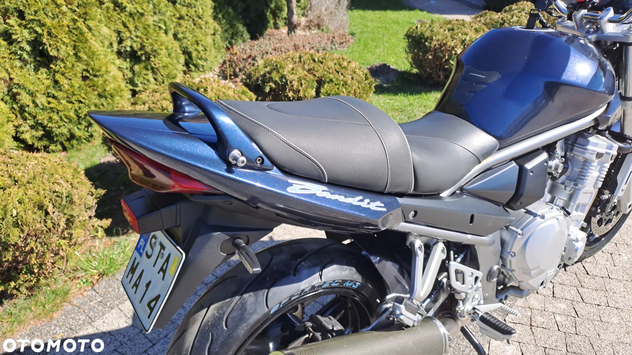 Suzuki Bandit - 16