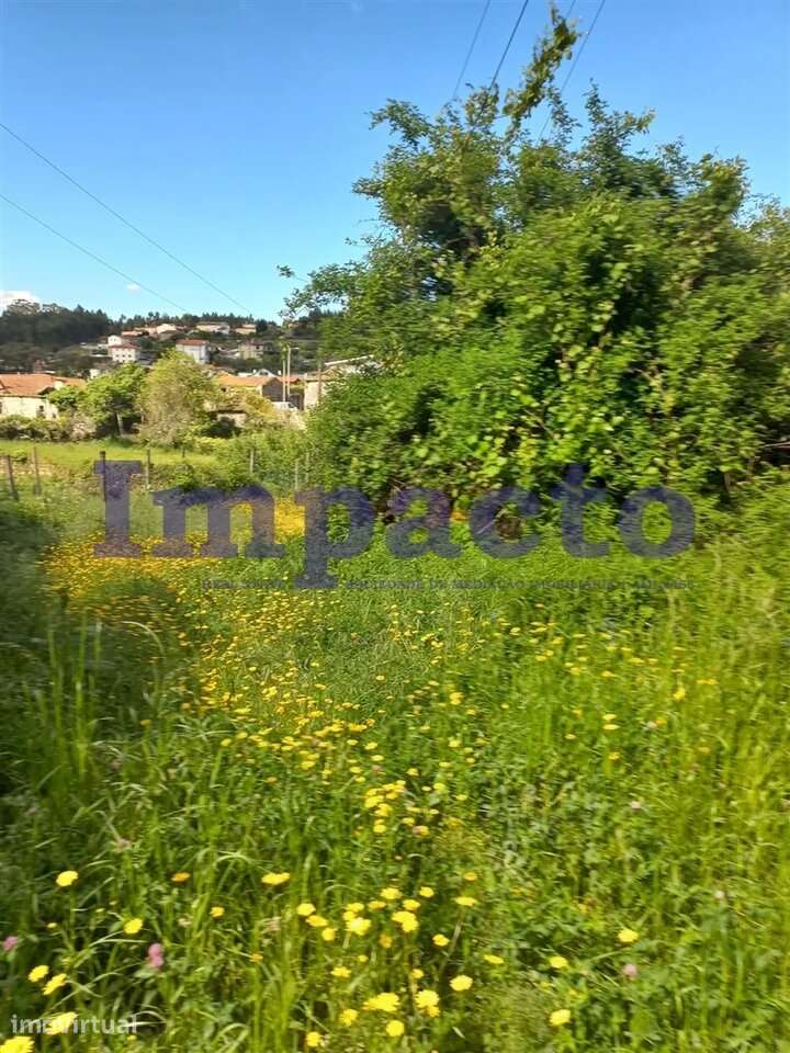 Terreno, Aveiro, Arouca - Grande imagem: 3/4