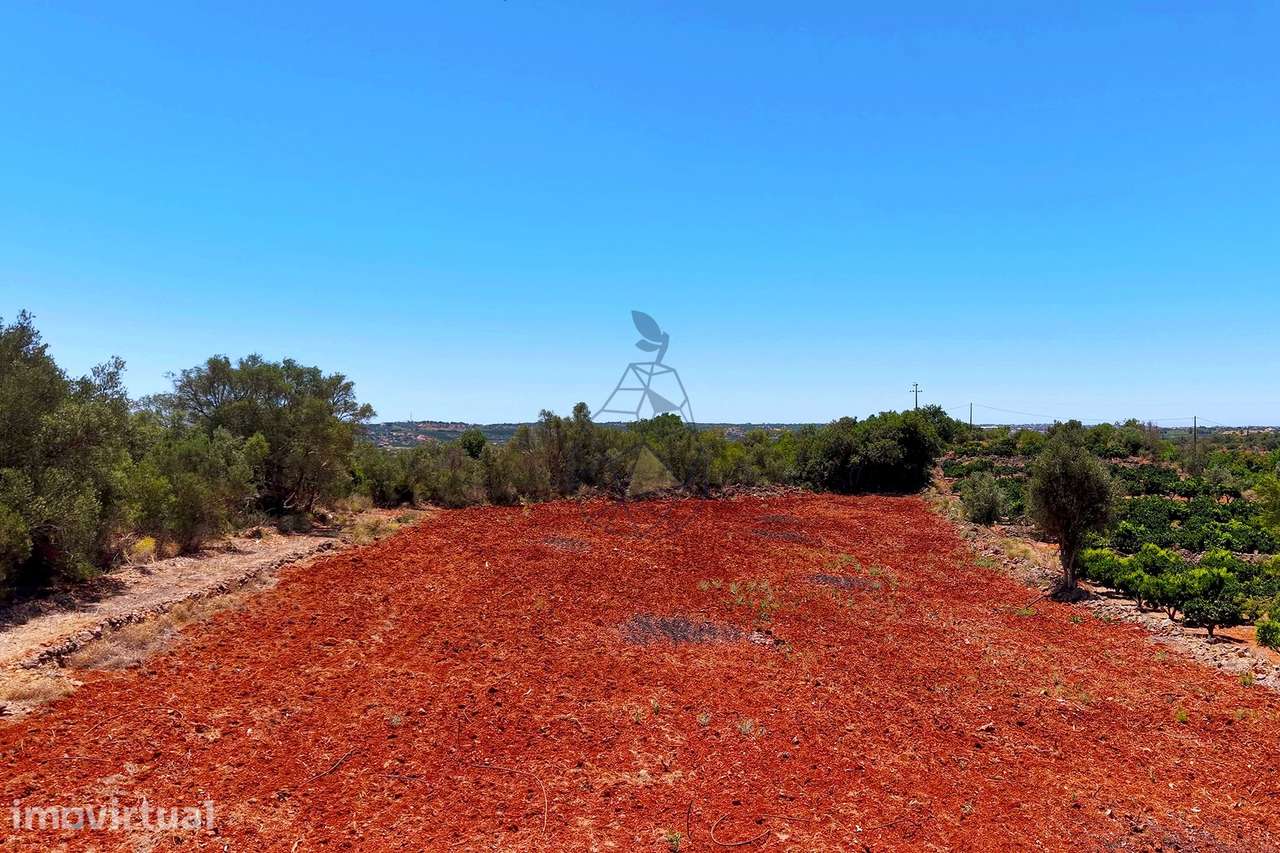 Terreno Rustico em Montes Grandes - Silves - Grande imagem: 2/16
