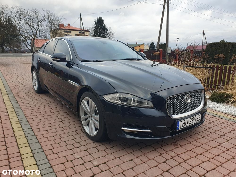 Jaguar Xj 2011 photo 4
