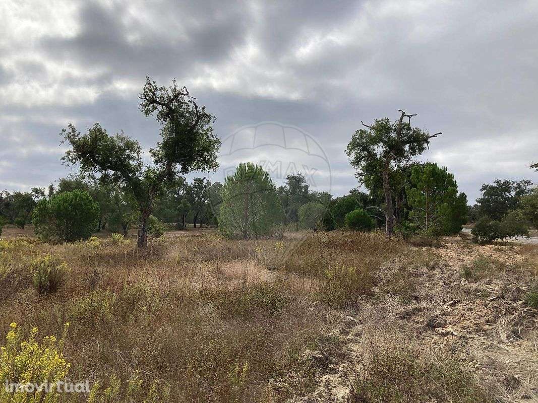 Terreno  para venda - Grande imagem: 3/24