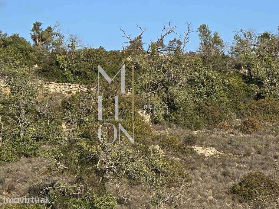 Terreno Rústico com Ruína e Vista Mar – 14.513 m2 | Excelente Oportuni - Grande imagem: 3/4