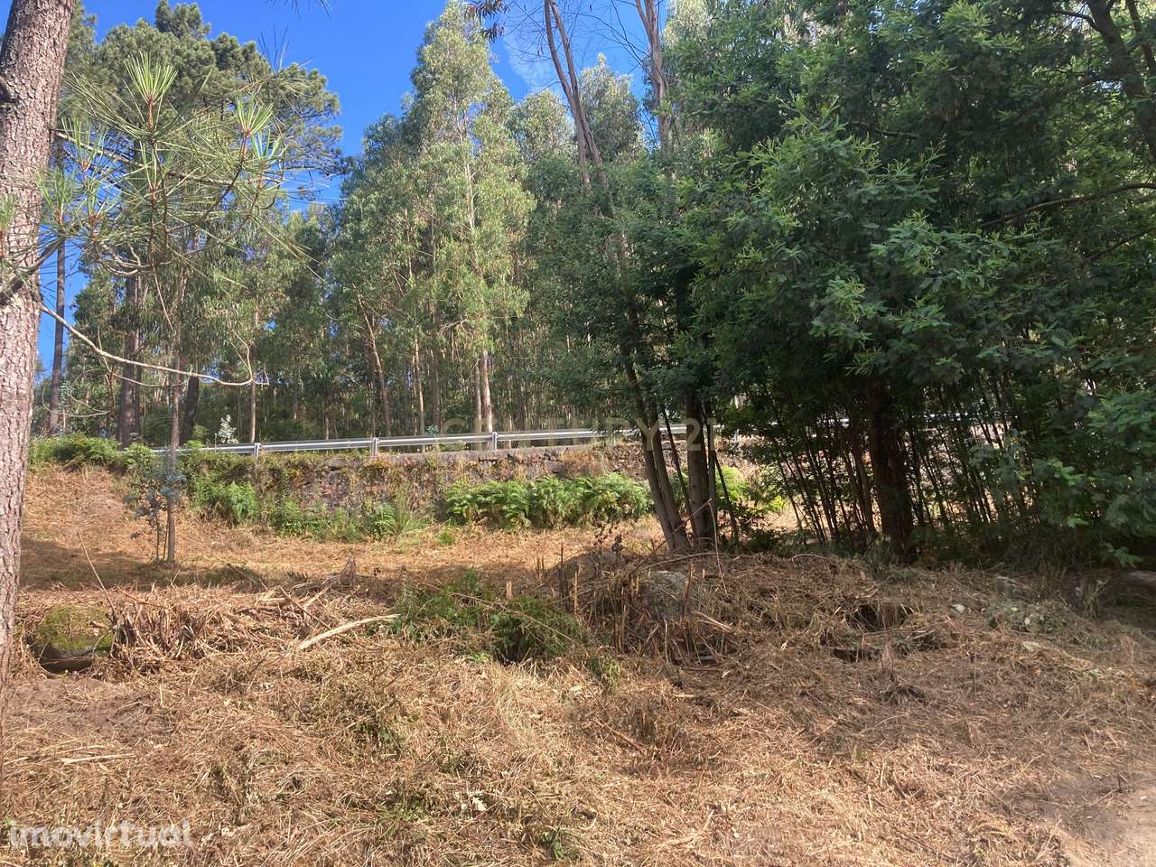 Terreno Rústico à Venda em Oldrões, Penafiel - Grande imagem: 4/24