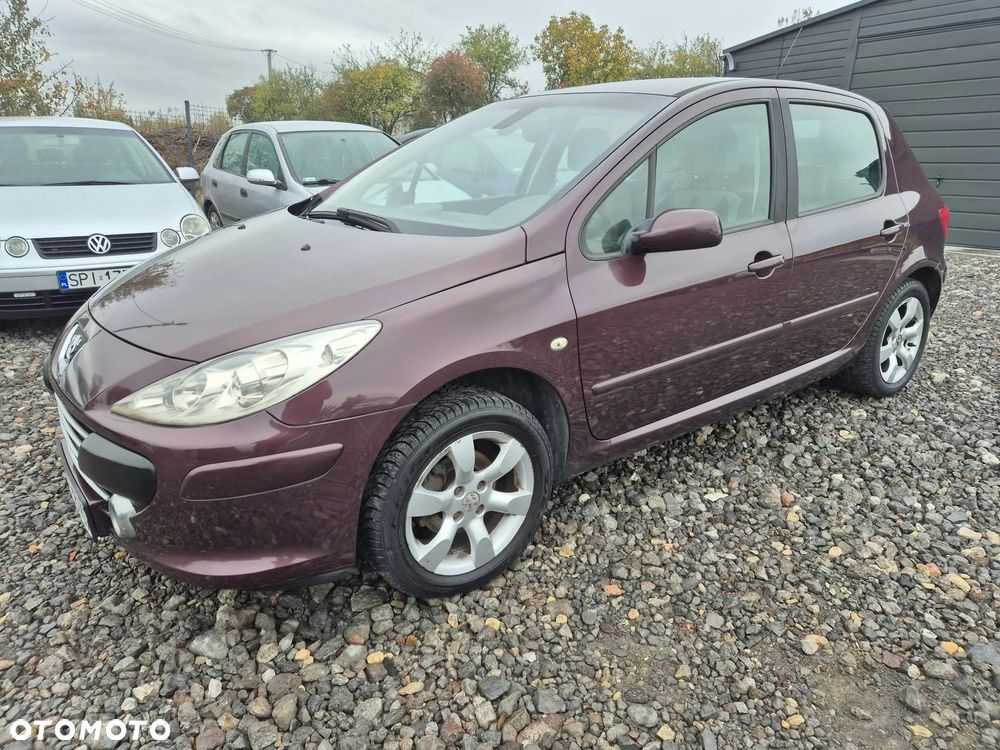 Peugeot 307 1.6 Premium - 3
