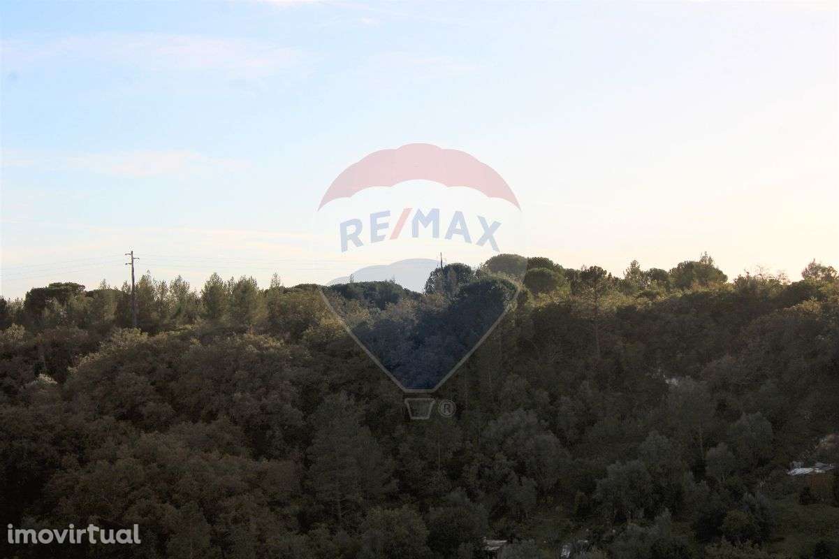 Terreno  para venda - Grande imagem: 2/4