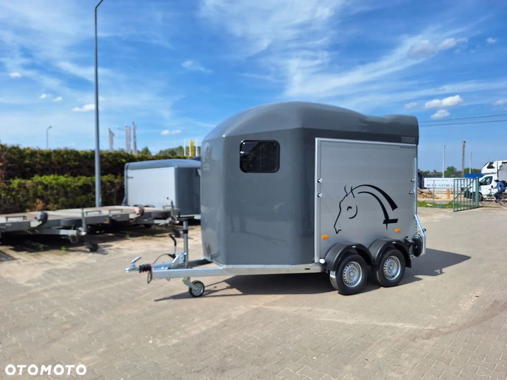 Cheval Liberte Gold Origin Debon - 2