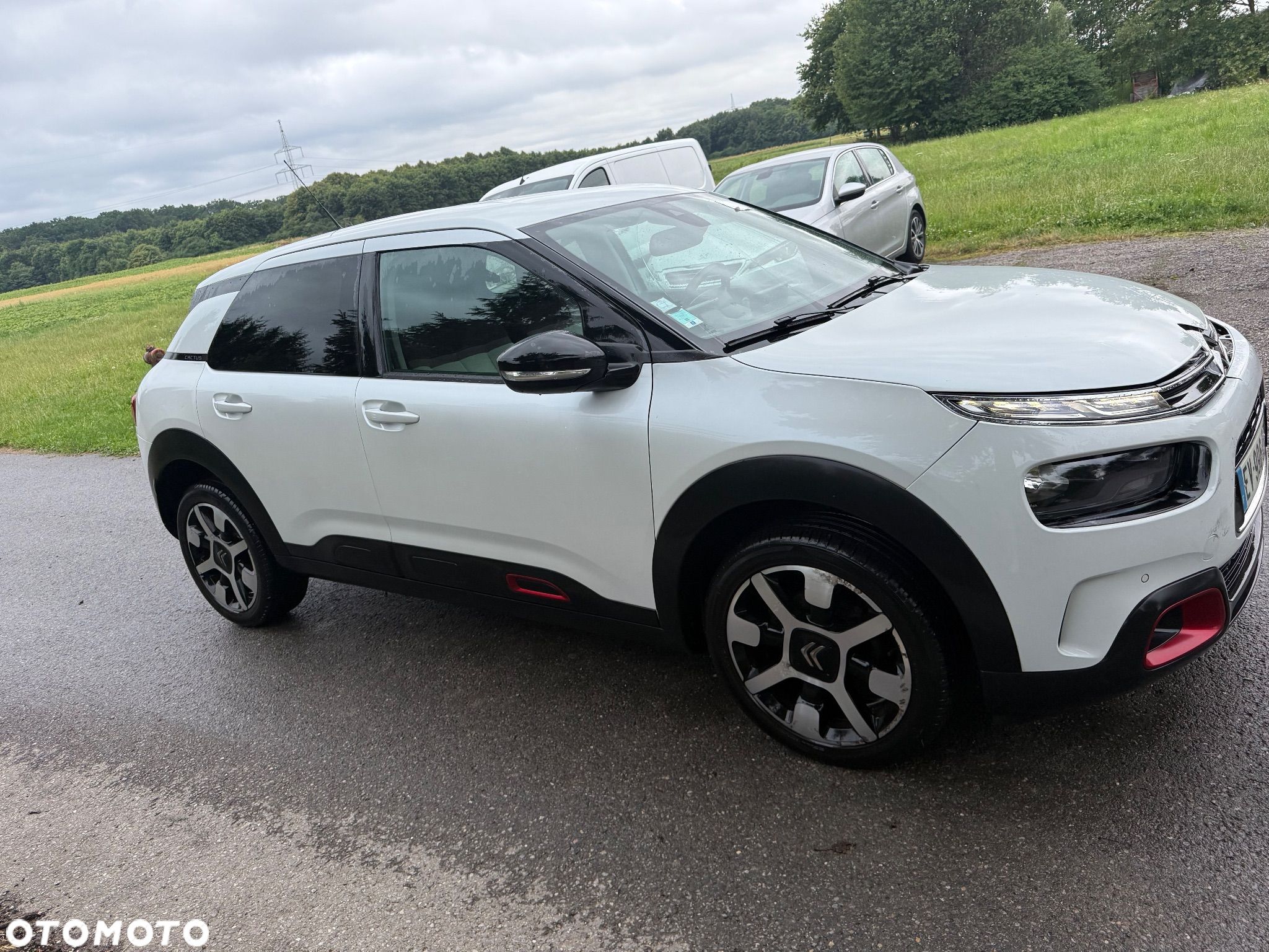 Citroën C4 Cactus 1.2 PureTech GPF Shine S&S EAT6 - 1