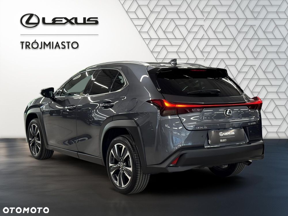 Lexus UX 250h GPF Business 2WD - 4