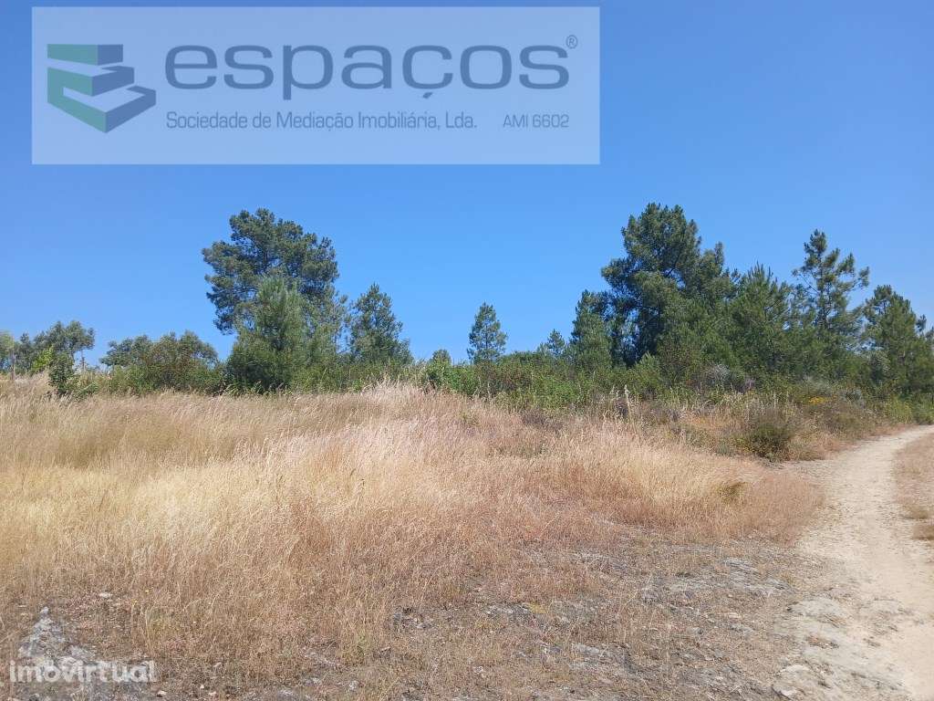 Terreno Rustico a 15km de Castelo Branco - Grande imagem: 5/9