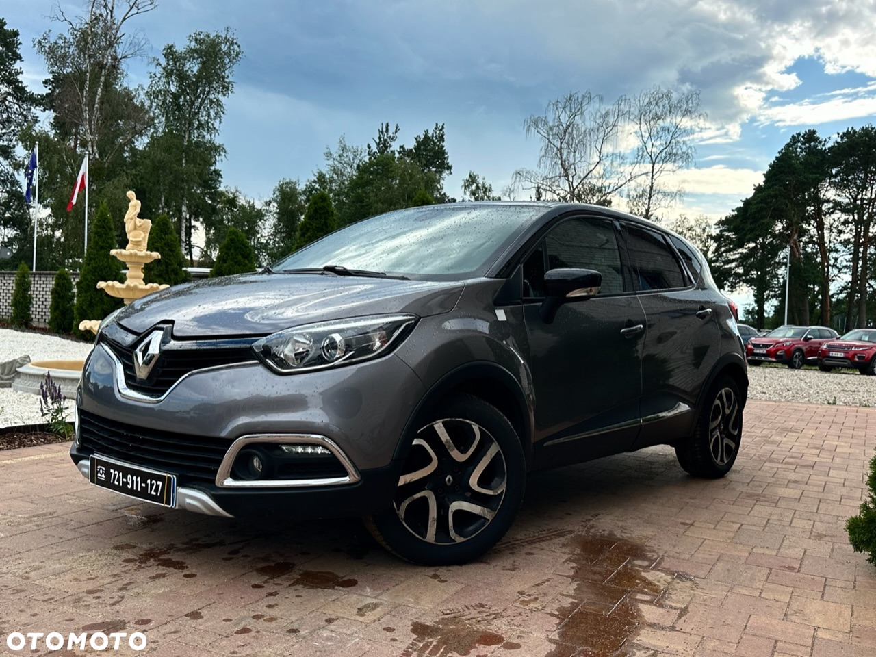 Renault Captur 1.2 TCe Helly Hansen EDC - 8