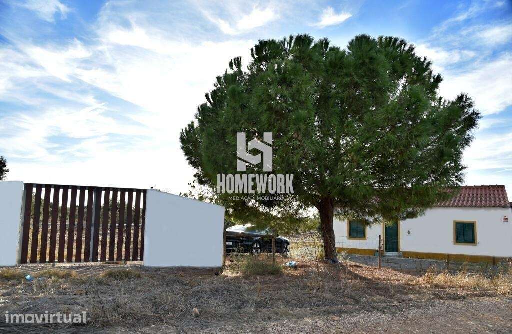 Quinta em Gasparões – Ferreira do Alentejo - Grande imagem: 4/27