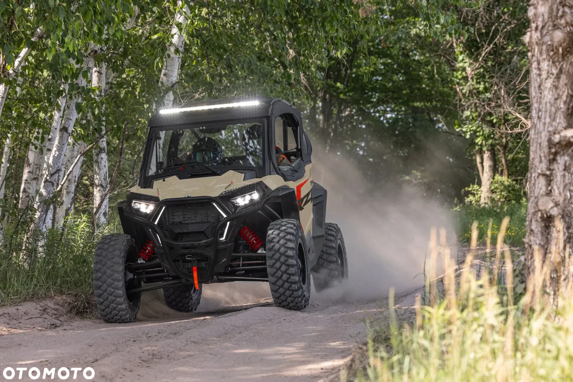 Polaris RZR - 15