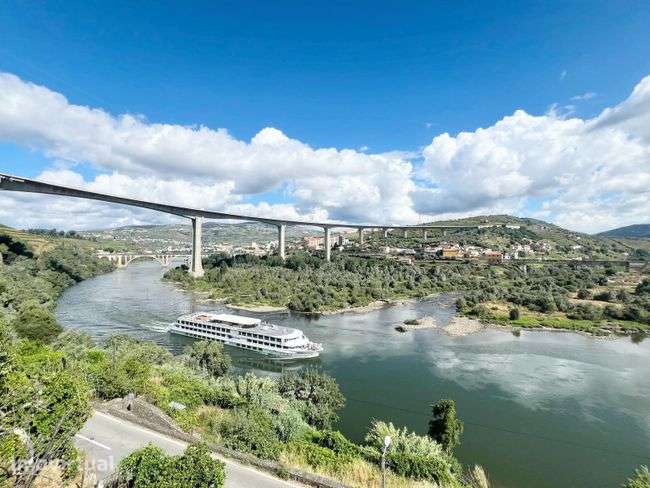 Moradia com Vinha e Produção de Vinho junto ao Rio Douro