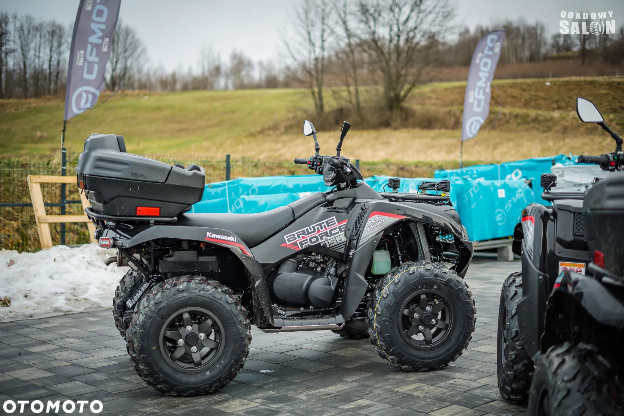 Kawasaki Brute Force - 31